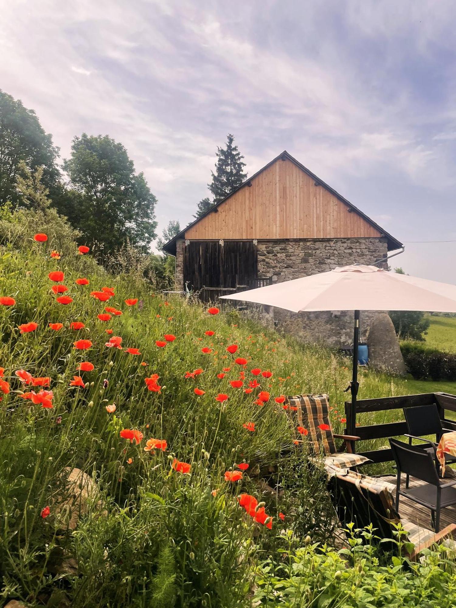 B&B Maisonnel Saint-Bonnet-en-Champsaur Eksteriør billede